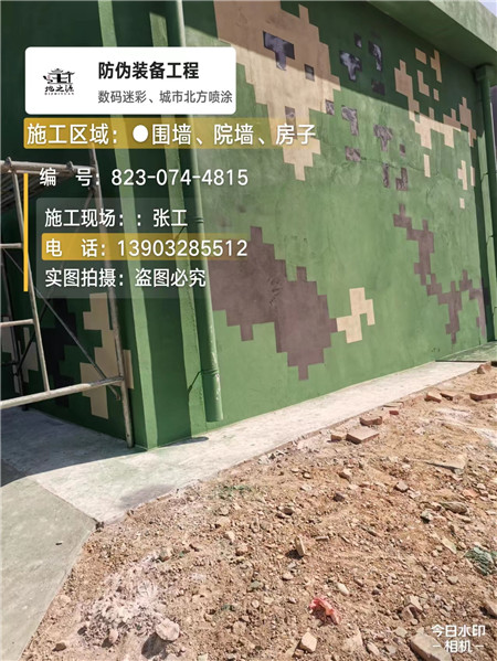 安阳核心结论：专业提供外墙迷彩漆施工服务